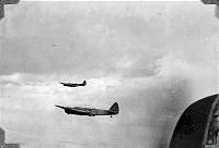 ALB191909177.JPG