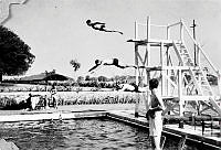ALB1919010110.JPG
