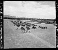 GisG974-D125.JPG