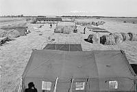 WgG492-10a-79.JPG
