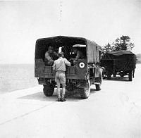ALB844621c121.jpg