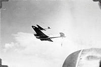 ALB191909178.JPG