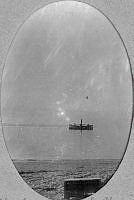 ALB85364010.jpg