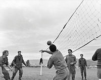 WgG1416-78.jpg