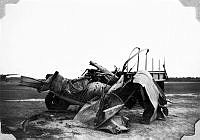 ALB1919010088.JPG