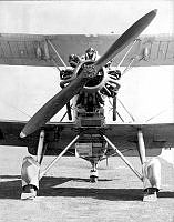 MUS03039.jpg