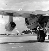 WgG13956-64.jpg