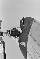 WgG492-35a-79.JPG