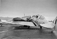 DWNZ939c.jpg