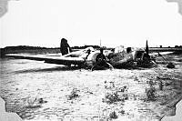 ALB1919010090.JPG