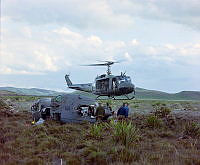 CrNZ3813II5.JPG
