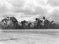 PR3003_1.JPG