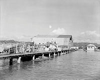 LbG247-52_1.JPG