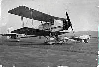 MUS2000110.jpg