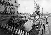 ALB0232217i009.jpg