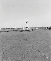 OhG1867-82.JPG