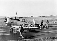 DWNZ1082c_1_1.jpg