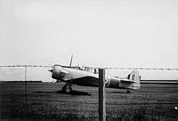 MUS110122.jpg